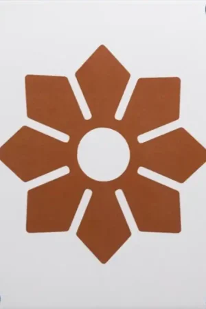Achetez Aujourd'hui Carrelage FIORE 20X20cm effet carreaux ciment